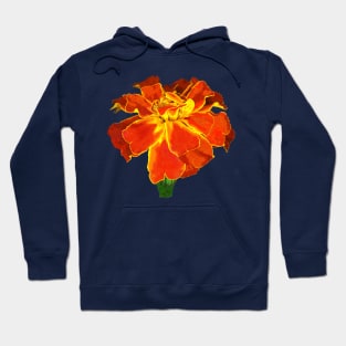 Marigolds - One French Marigold Hoodie